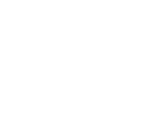 North Star Dek Logo